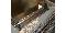 Heidelberg GTO 52 4 colours Pressure machine