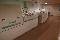 Fuji Luxel V 9600 CTP Fully Automatic